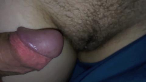 15981