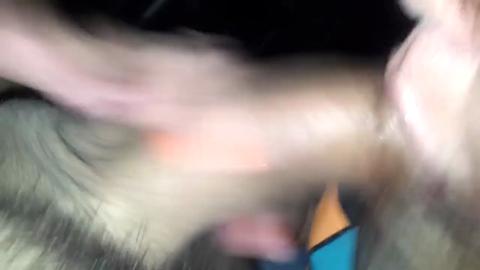 43784